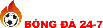 món ngon hàng ngày